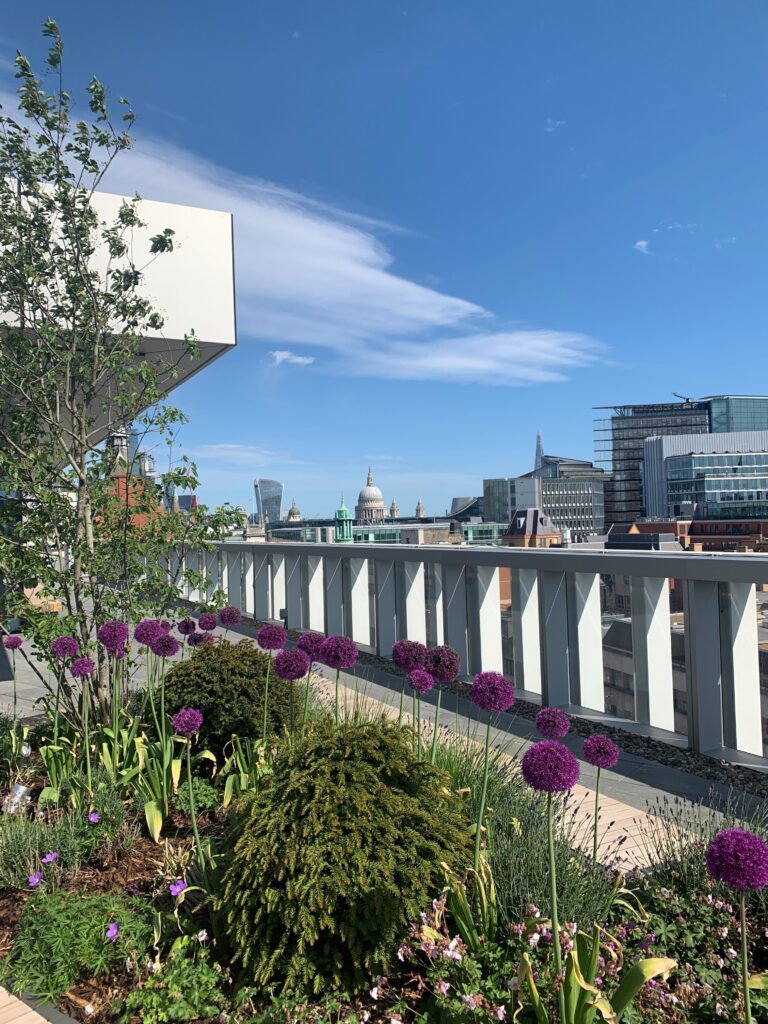 150 Holborn - roof terrace